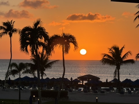 The Other Side of the Road: A Spring Break in Grand Cayman with my College Kids