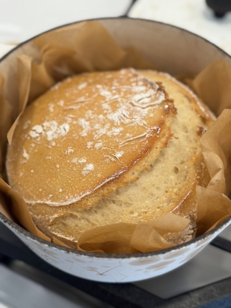Freshly baked gluten free sourdough bread in a dutch oven with parchment paper golden brown crust